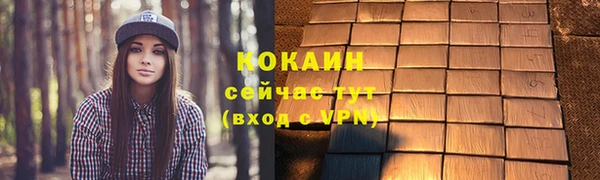 МДПВ Краснослободск