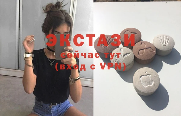 МДПВ Краснослободск
