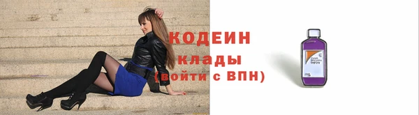 МДПВ Краснослободск